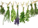natural herbs for remedies