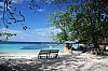 Small tree bar on Winnifred beach Jamaica