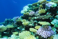 Australias Great Barrier Reef