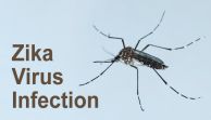 Zika Virus Jamaica