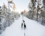 Snow covered Lapland in Sweden