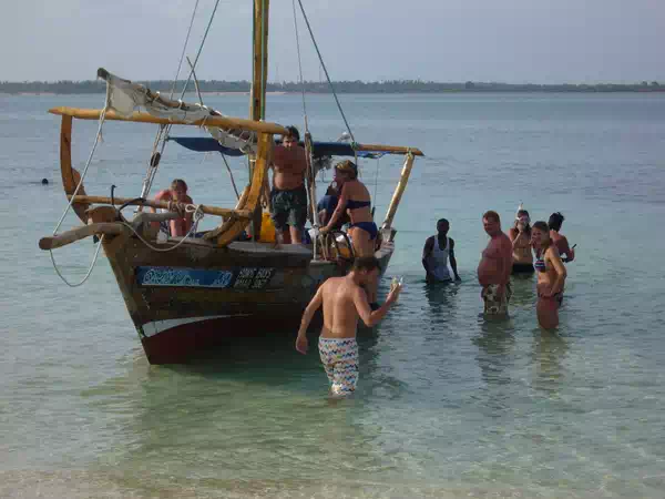 wasini kenya mombasa diani dolphin snorkelling tour