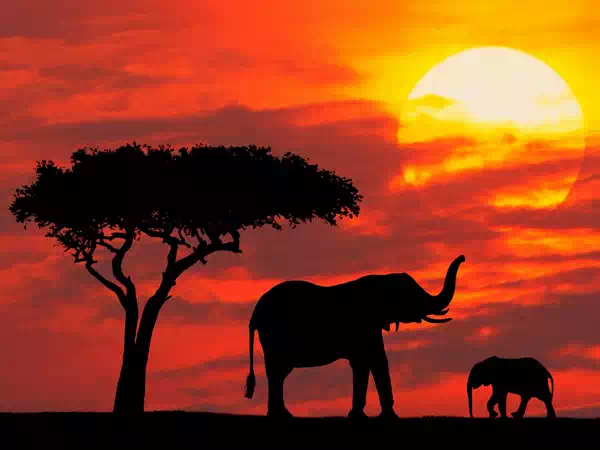 mother and baby silhouetted at sunrise kenya