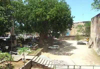 Grounds of Fort Jesus Mombasa