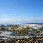 Beach reef tide out