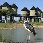 Tsavo game reserve lodge