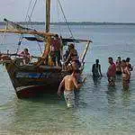 wasini Diani dolphin snorkelling trip