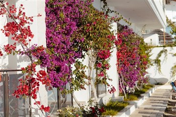 View of the Hotel Jaroal in Sarande