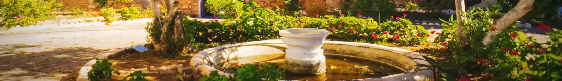 View of gardens in Oran