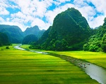 Green landscape of Cambodia