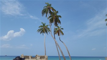 View of the Hotel Tobiko in Trincomalee
