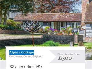 Alpaca Cottage Dorchester Dorset