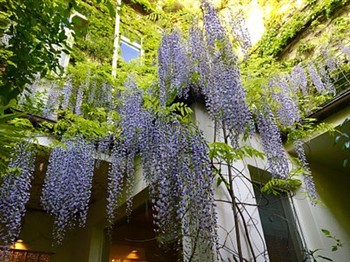 View of the Kindl s Low Budget