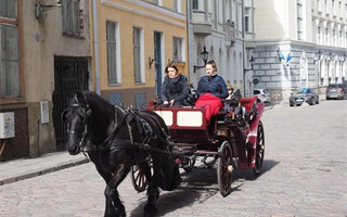 horse carriage old town