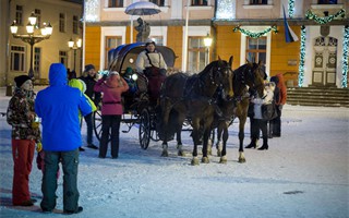 tartu city horse and carriage