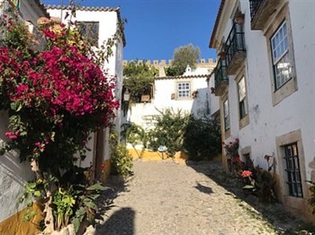 View of the Lovin Book Guesthouse