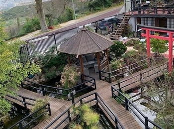View of the Zen Museu do Bonsai