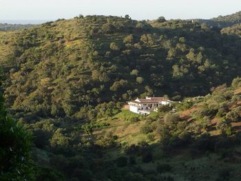 Herdade da Corte  Tavira