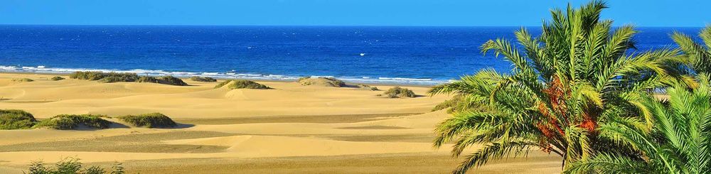 The sand dunes of Gran Canaria