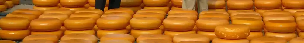 Gouda cheese banner