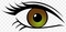 Brown eye