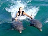 jamaica ocho rios dolphin
