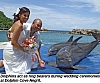 wedding with dolphins dolphin cove jamaica