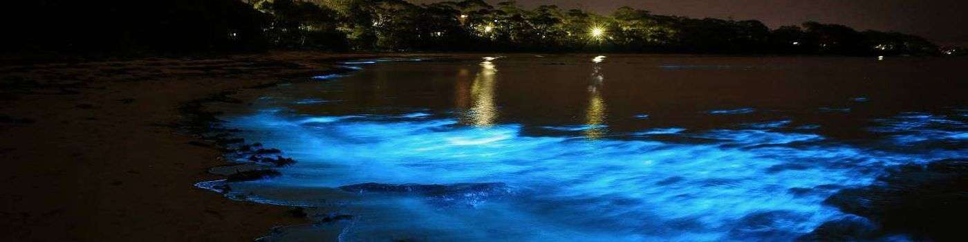 Blue luminous lagoon glistening waters of Falmouth