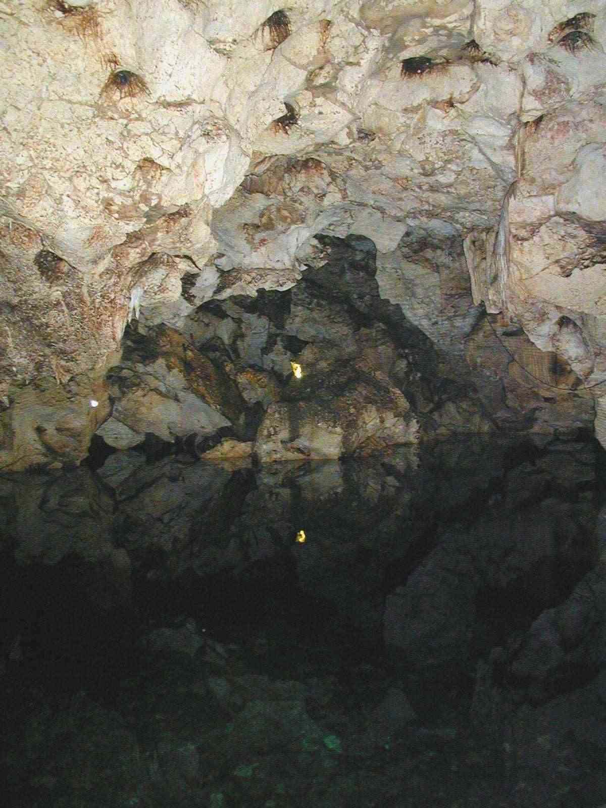 Bats in cave water reflection