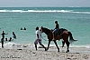 hellshire beach pony ride