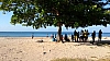 Tree shaded Reggae beach in Jamaica
