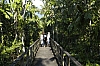 Royal Palms Jamaica - wooden boardwalk through tropical jungle