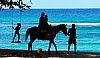 Winnifred beach Port Antonio Jamaica horse riding