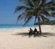 Shading under the palm trees