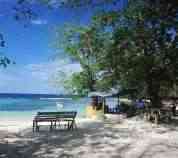 Seat on Winnifred Beach