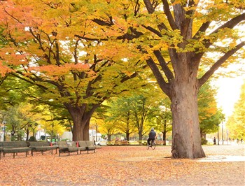 View of the Mercure Hotel in Sapporo