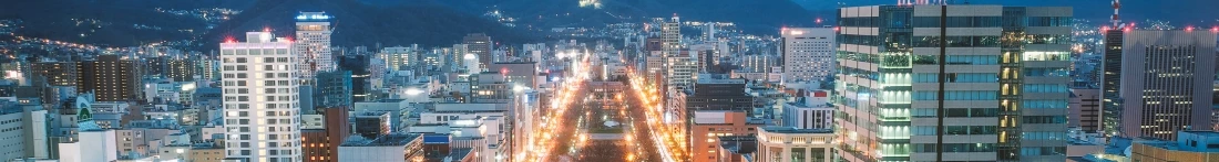 Panoramic view of Sapporo