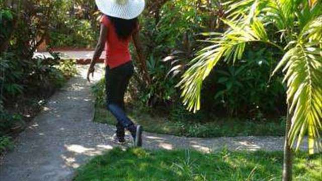 alberta place guest house garden