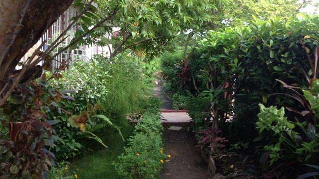 alberta place guest house side garden