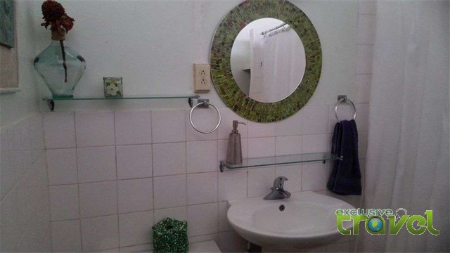 doctor bird bathroom