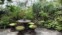 garden patio