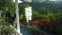 neitas nest gardens