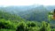 neitas nest mountain view