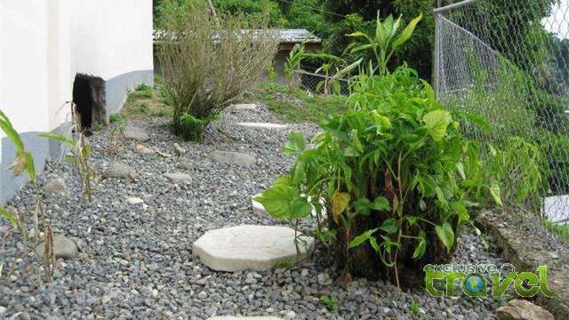 pineapple hill cottage side