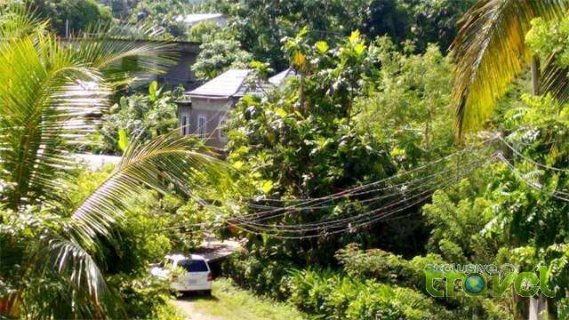 irie vibez hostel driveway