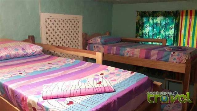 winnifrenze hostel beds