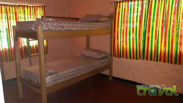 winnifrenze hostel bunks