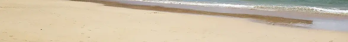 Panorama image of a beach in South America