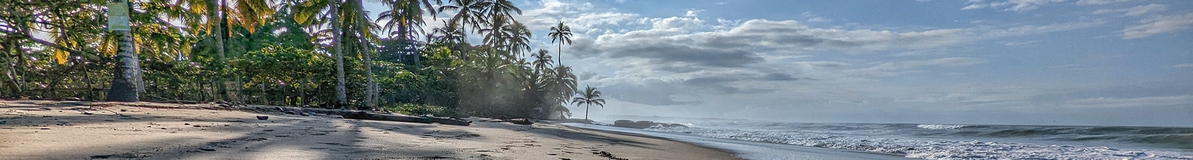 Panorama image of Palomino beach