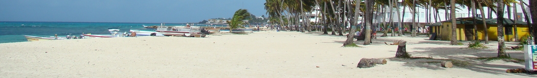 Panorama image of a typical beach in Colombia